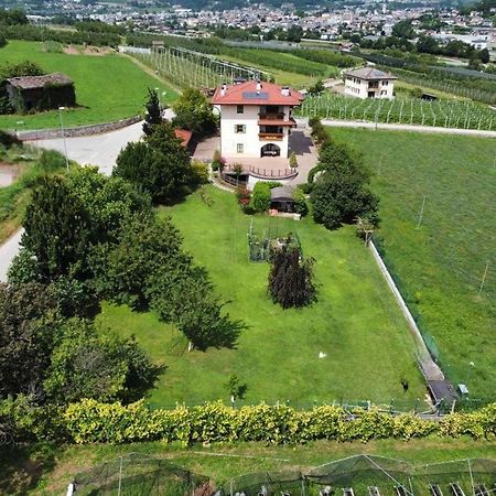 Il Gallo Pergine Valsugana Luaran gambar